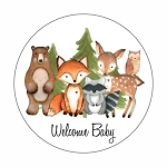 Woodland Animal Welcome Baby Shower Round Dot Stickers Set